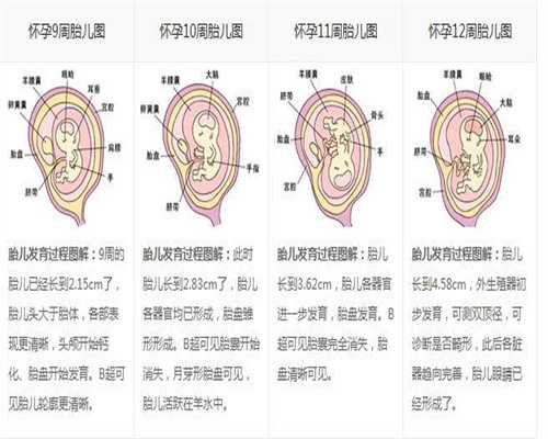 有广州供卵试管的吗_公立医院和机构供卵哪个_试管婴儿成功率究竟有多高