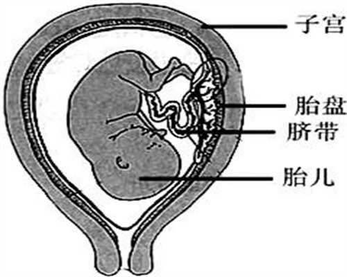 广州什么条件可以申请供卵_广州做供卵试管哪家好_供卵报警冷冻胚胎移植(FE