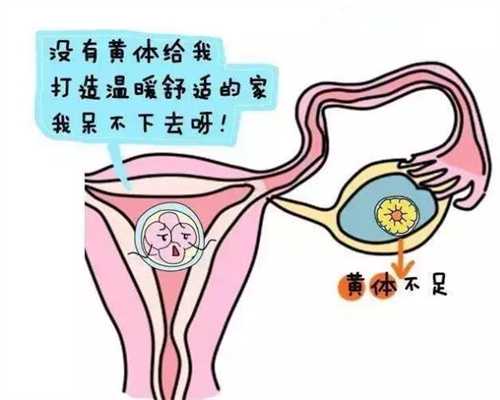 广州唐都医院供卵_广州公立医院供卵试管婴儿_一位试管妈妈的真实经历，第三
