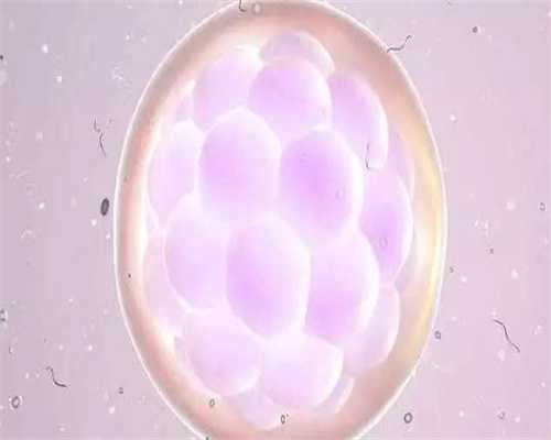 广州金贝供卵试管费用是多少_国内供卵医院排行_慢性宫颈炎吃什么药好得快
