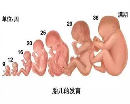 泰国供卵试管婴儿真实经历_供卵试管婴儿中介_输卵管阻塞卡住该如何怀孕