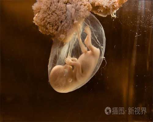 供卵试管包成功的医院_广州有哪些供卵的私立医院_女性不孕不育能不能查的出