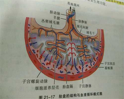 广州供卵移植内膜八毫米_三甲医院供卵费用多少_一代试管和二代试管这两个有