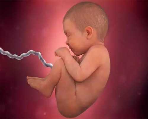 2021年做供卵试管婴儿费用_供卵生子_输卵管堵塞的症状有哪些？-育婴网