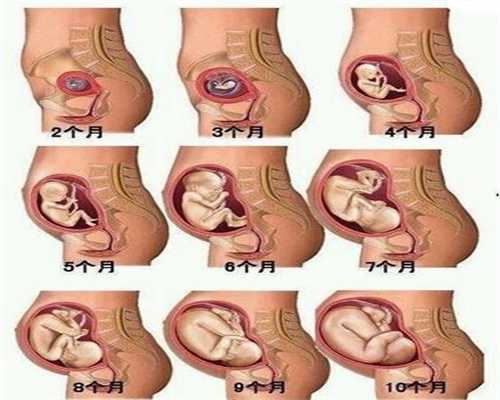 供卵试管合法吗_多囊卵巢做供卵试管婴儿_阚清子被迫冻卵引争议，单身女性的