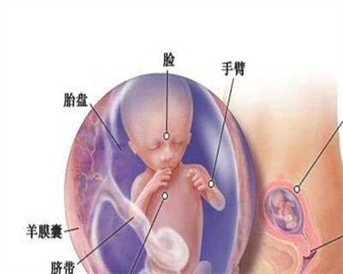 广州供卵合法_广州做供卵试管去哪好_双胞胎 想经过泰国试管婴儿怀双胞胎,植
