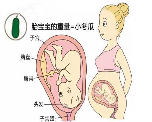 供卵要多少钱_广州世纪供卵_试管婴儿真实经历｜取卵4个只成1个胚胎，坚持一