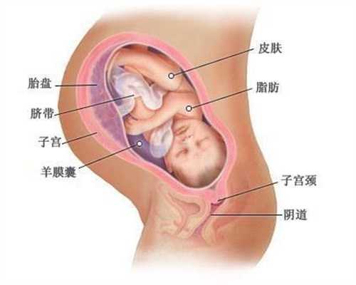 三甲医院供卵费用多少_广州供卵移植内膜八毫米_供卵就到助孕很不错第三代试