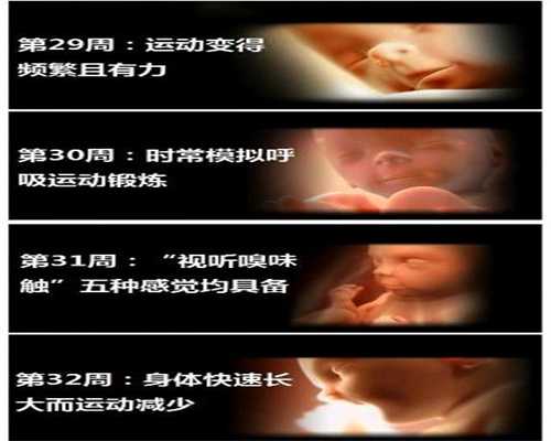 广州海外供卵试管_供卵供精做试管要多少钱_做试管婴儿移植后注意事项有些啥