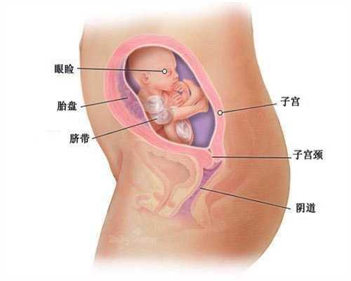 默默供卵_自己去广州做供卵_做剖腹产捐卵腹水第六天有什么后遗症剖腹产后有